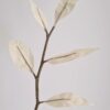 Branche feuillage en papier de soie et végétaux secs